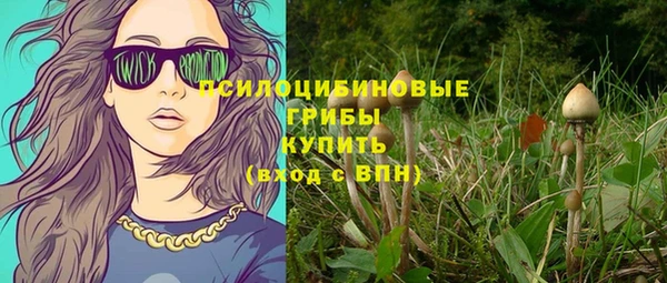 индика Медногорск