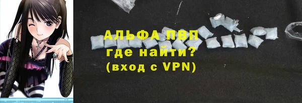 индика Медногорск