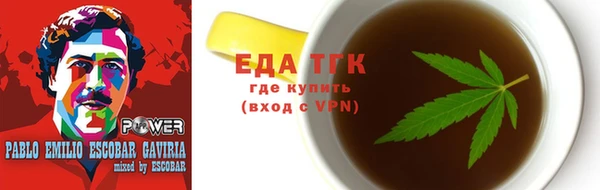 индика Медногорск