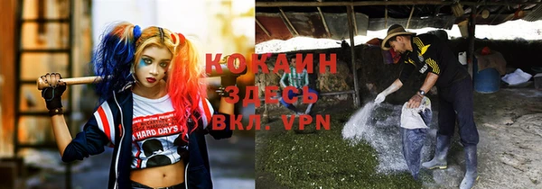 МДПВ Мегион