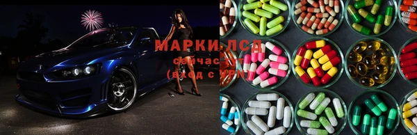 apvp Невельск